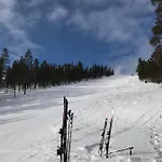 Suivakko Saariselkä