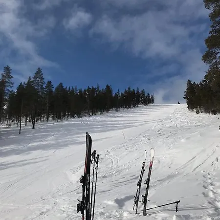 Suivakko Saariselkä