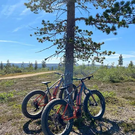 Suivakko Saariselkä