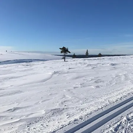 Appartamento Suivakko